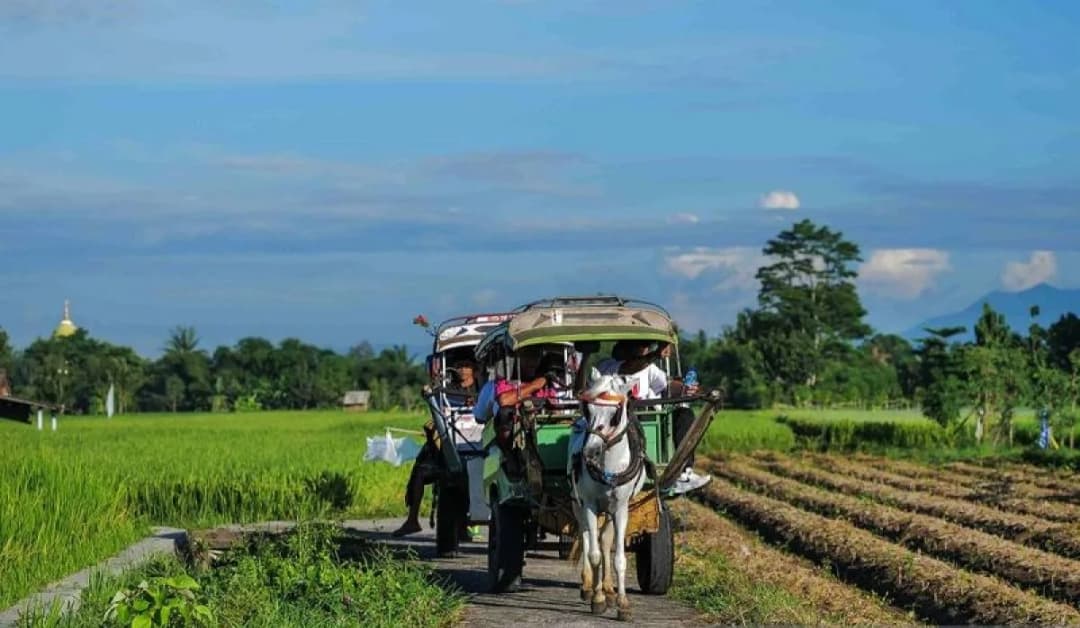 Wisata Desa Alami Peningkatan Kunjungan Selama Libur Akhir Tahun